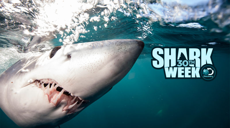 where to watch shark week 2018 online