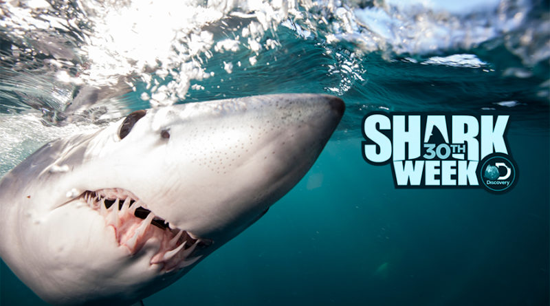 Shark Week 2018 Highlights and Schedule - Shark Week Watch Online