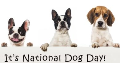 happy national dog's day 2018