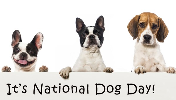 happy national dog's day 2018