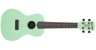 Best Ukulele For Beginners