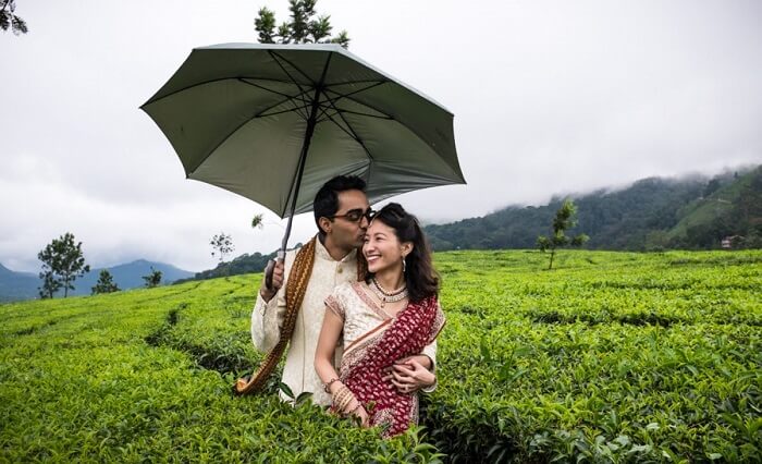 Munnar - Honeymoon Destinations in Kerala