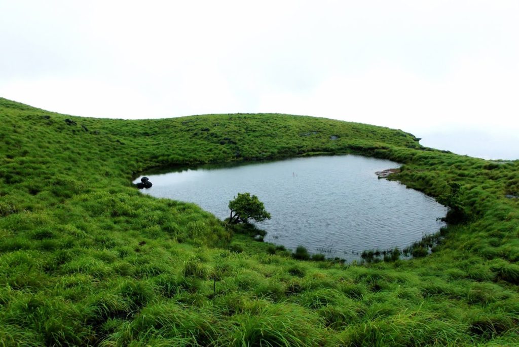 Wayanad - kerala honeymoon resorts