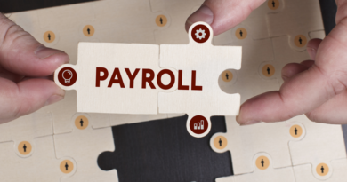 SaaS-based Payroll Software