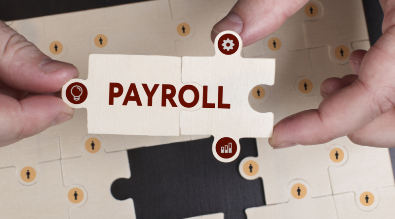 SaaS-based Payroll Software