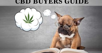 best CBD oil for cats & dogs