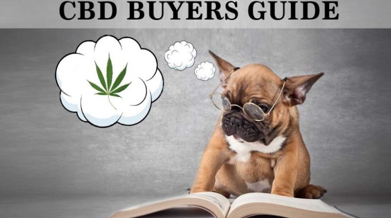 best CBD oil for cats & dogs