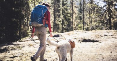 how to go backpacking with a dog