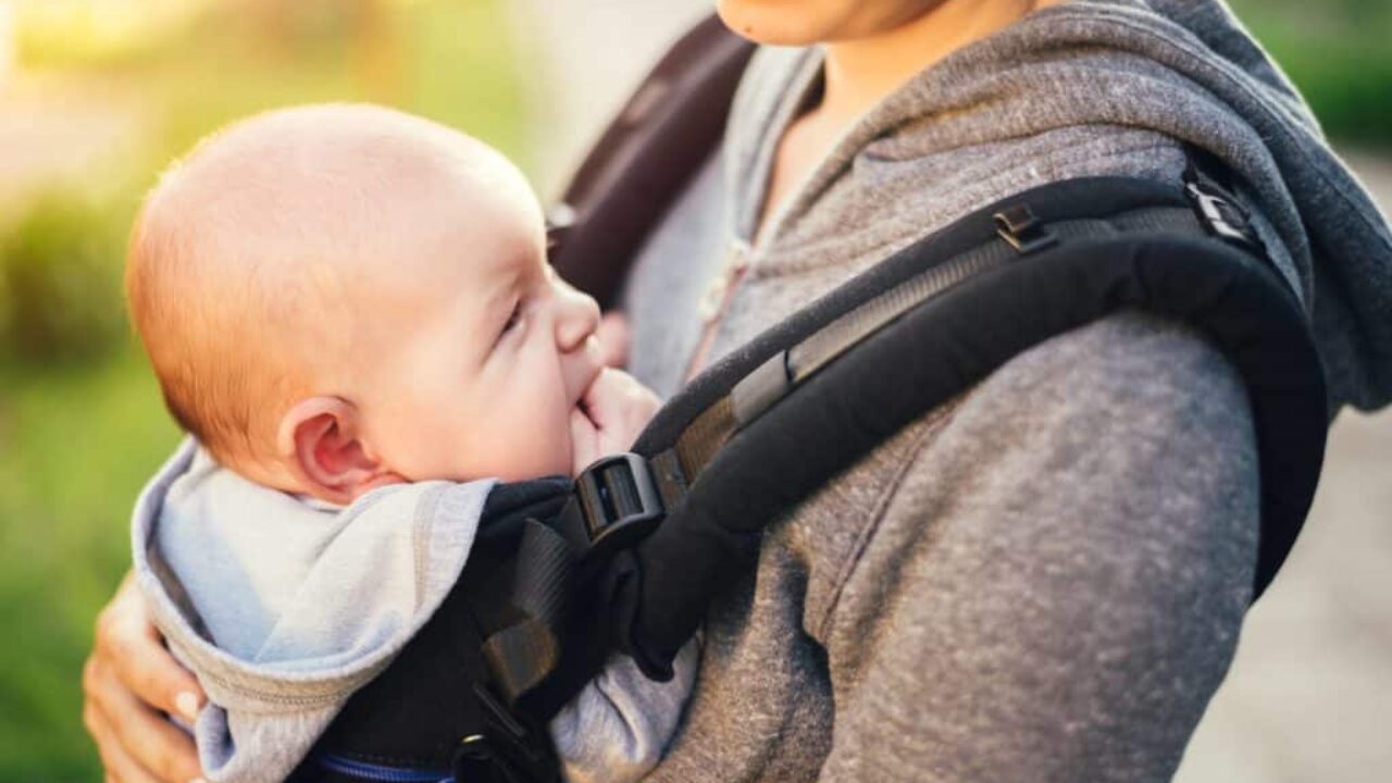 best buy baby carrier