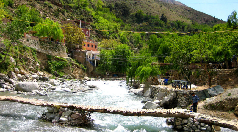 trip to Marrakech and Ourikka Valley