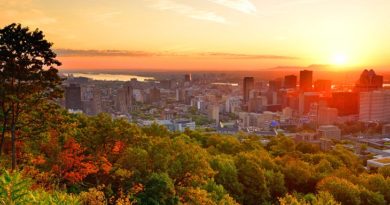 Picnic Spots in Montreal