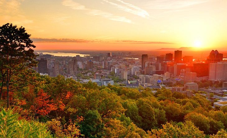 Picnic Spots in Montreal