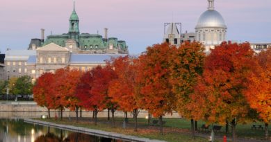 Why You Shall Raise a Family in Montreal