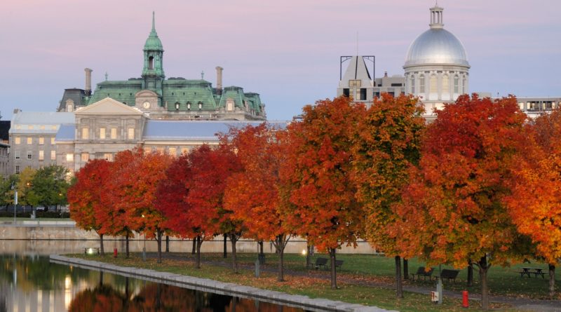 Why You Shall Raise a Family in Montreal