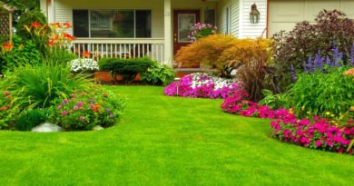 Questions to Ask Before Hiring Landscaping Services