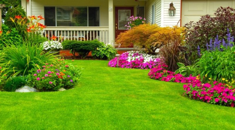 Questions to Ask Before Hiring Landscaping Services