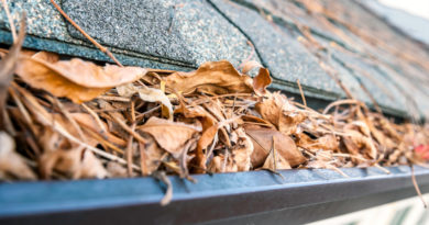 Importance of Gutter Cleaning