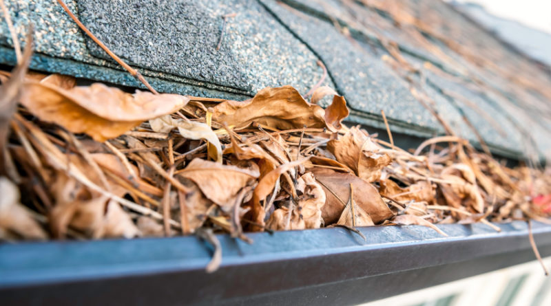 Importance of Gutter Cleaning