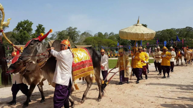 Royal Ploughing Ceremony in cambodia