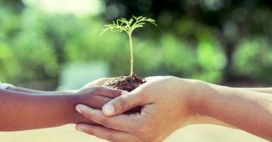 gift a tree