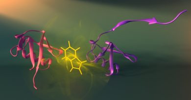 Recombinant-Proteins