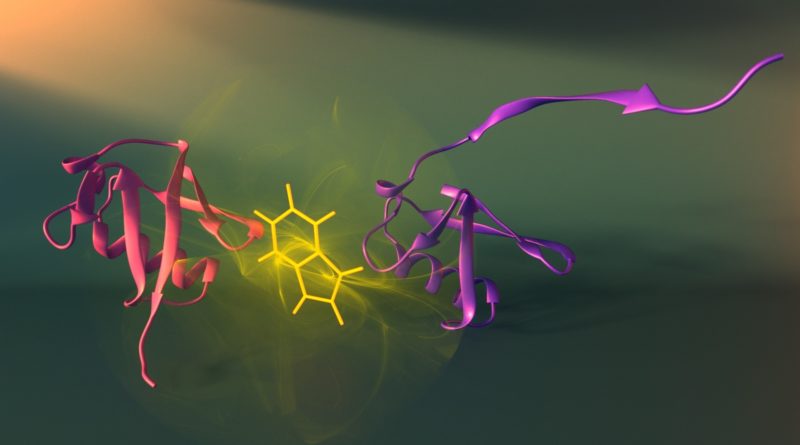 Recombinant-Proteins