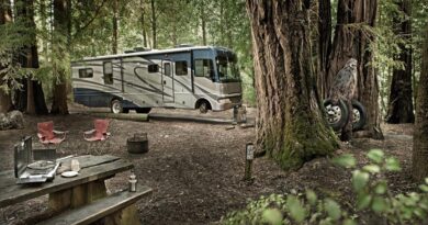 RV with Your Family -2020 - trendmut