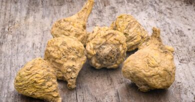 Health Benefits of Maca Root