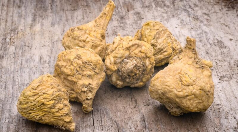 Health Benefits of Maca Root