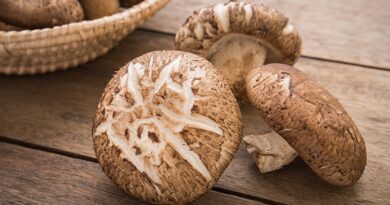 Health Benefits Of Shitake Mushrooms