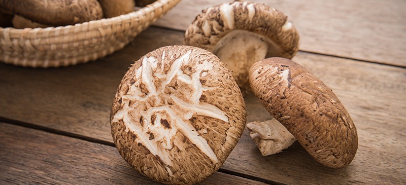 Health Benefits Of Shitake Mushrooms