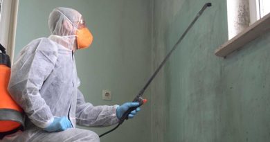 professional mold remediation specialist