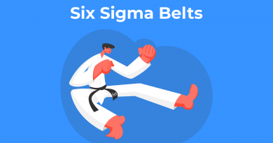 what is a six sigma black belt