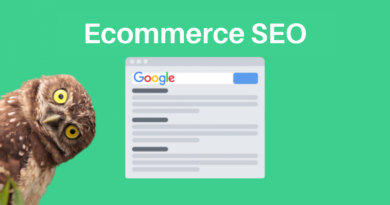 Proven SEO Recipe for eCommerce Websites