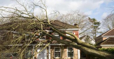 storm damage insurance