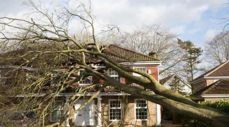 storm damage insurance