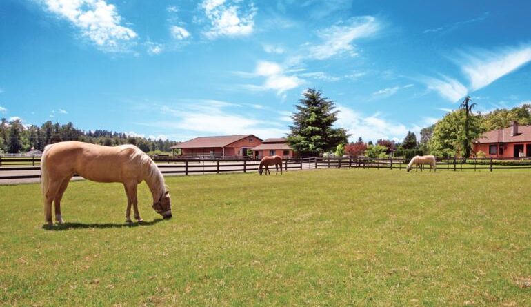 Buying Horse Properties