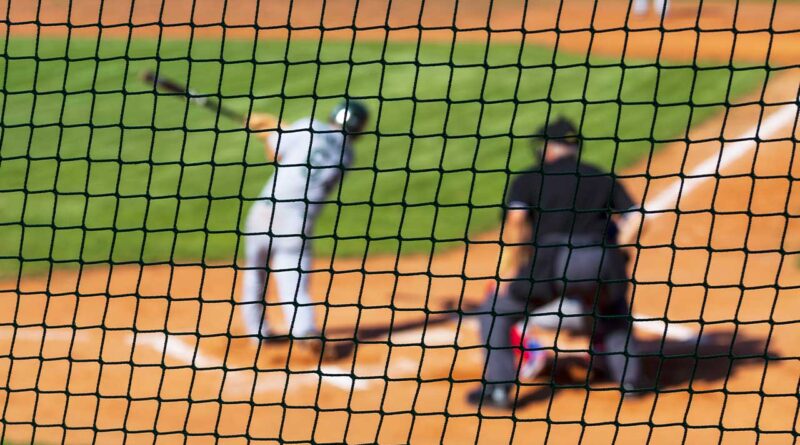 Why to Use Netting At Your Baseball Park
