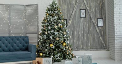 6 Home Improvements to Tackle Before Christmas - 2023 - trendmut